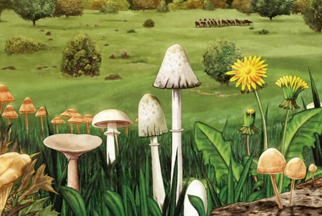 Valdemeca 1 - Parque Natural Las Majadas