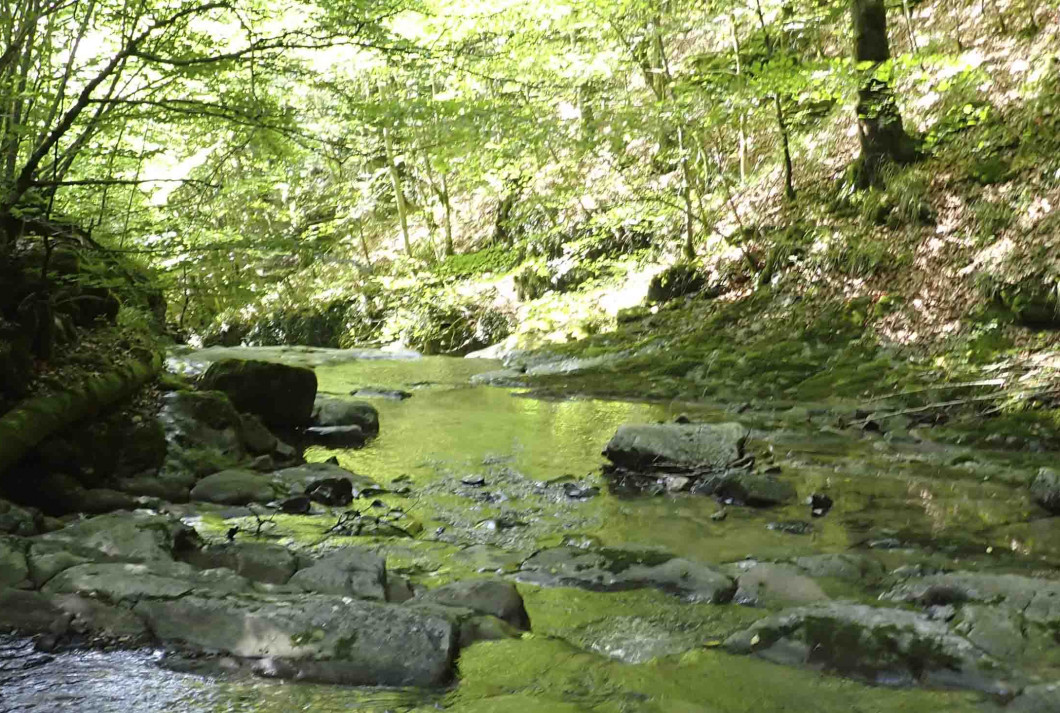 Remanso de agua próximo al embalse de Iragua