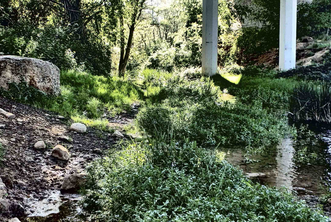 Zona de corriente tranquila de agua en el barranco Sarrón