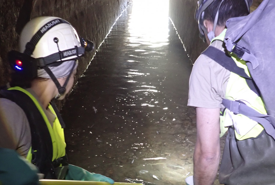 Dos técnicos dentro de un túnel preparados para realizar la técnica de pesca eléctrica