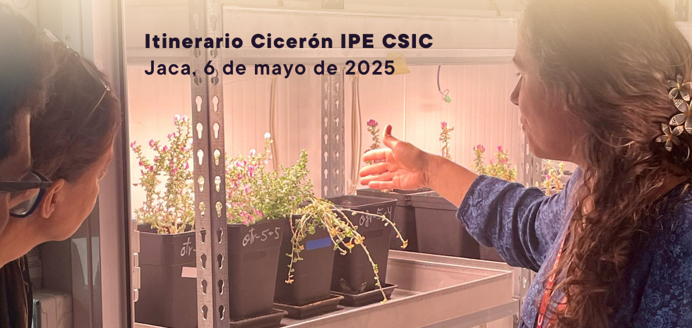 Plantas extremófilas en el IPE