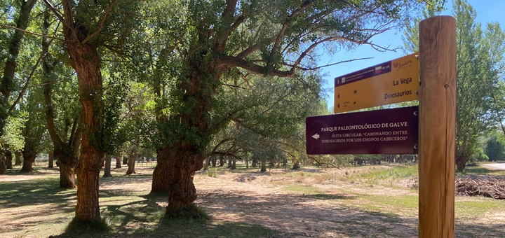 Señalización ruta Galve